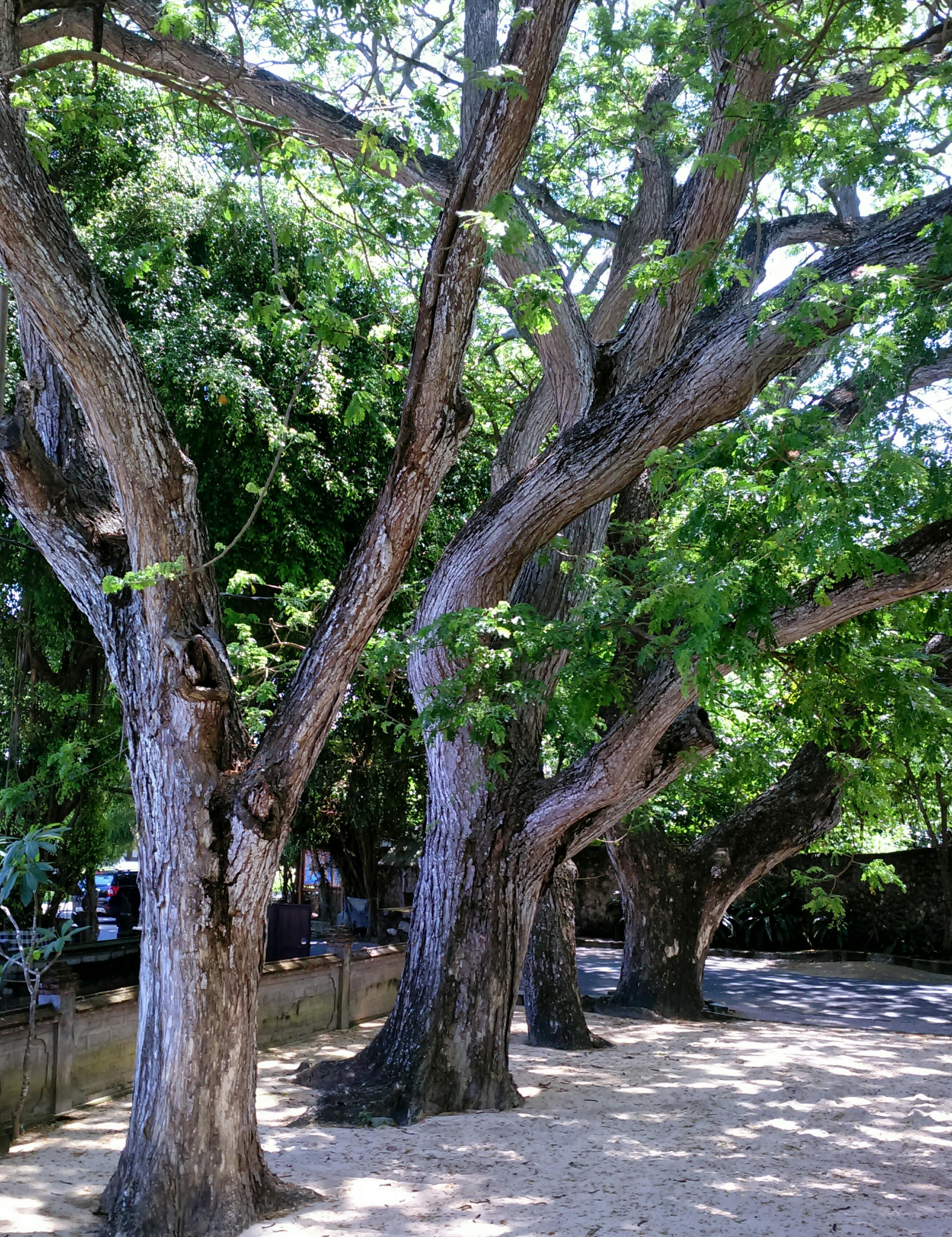 Taksu Sanur Hotel Exterior photo